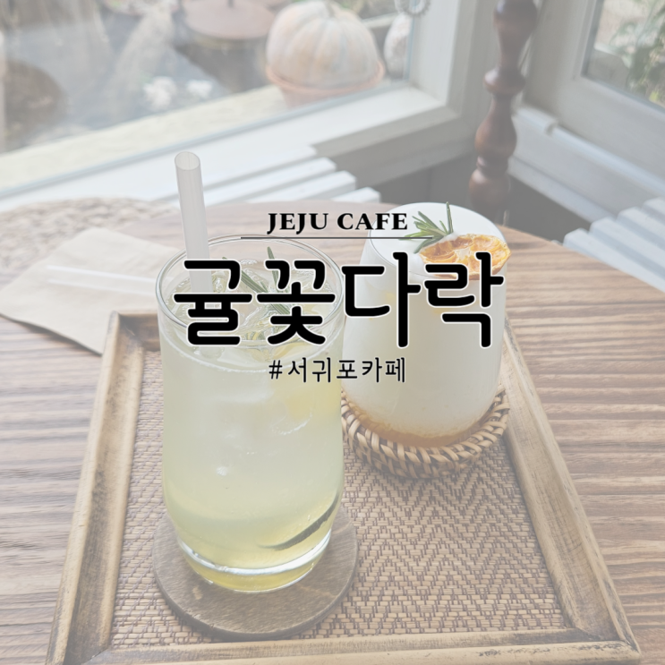  제주 서귀포, 카페 귤꽃다락