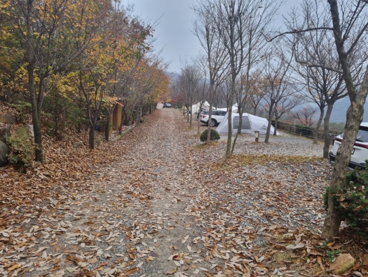 솔로캠핑 - 동두천 파인힐캠핑장