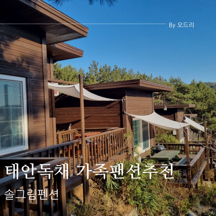  [태안여행] 바닷가근처 태안독채펜션 추천 솔그림펜션