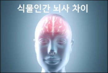 식물인간 뇌사 차이