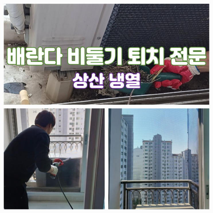 안산 에어컨 실외기 비둘기퇴치 방법 및 할인 방법 에어컨 청소 전문 상산 냉열 안산 에어컨 실외기 비둘기퇴치 방법 및 할인 방법 에어컨 청소 전문 상산 냉열