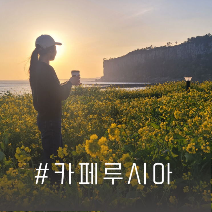  제주 대평 포구 옆에 카페루시아 앞에 난드르 바다, 건너편에 박수기정 그리고 피제리아3657