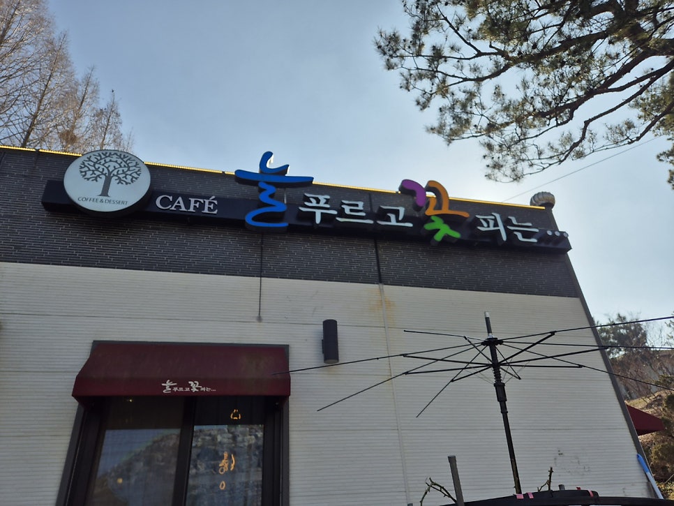 늘푸르고꽃피는 사진 3