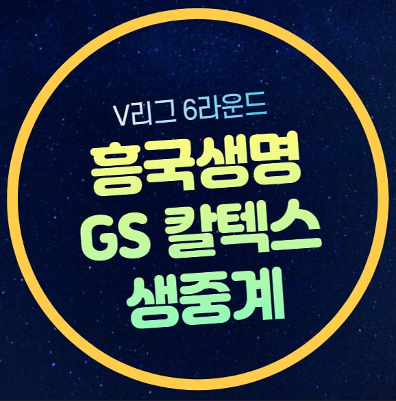 <b>흥국생명</b> GS칼텍스 중계 <b>김연경</b> 출전 여자배구 V리그 2024년... 
