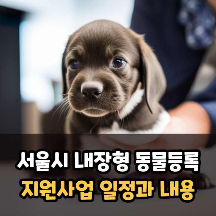 서울시 내장형 동물등록비 지원사업 일정과 지원내용