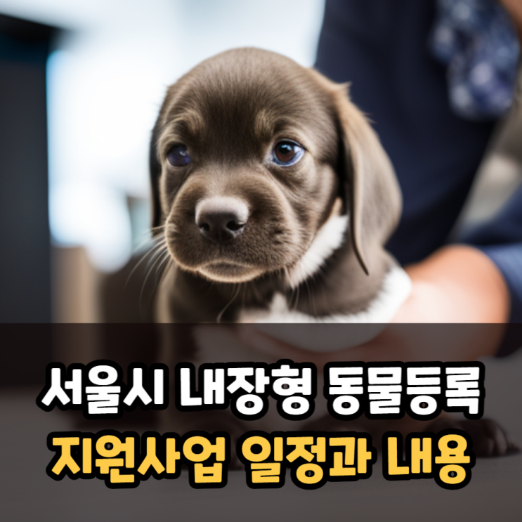  서울시 내장형 동물등록비 지원사업 일정과 지원내용