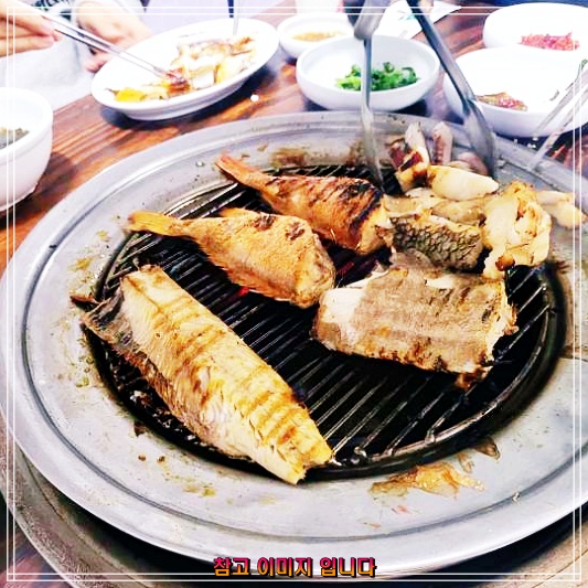  속초 중앙시장 88생선구이 숯불생선구이 생선모듬구이 모둠생선화로구이 맛집 리스트: 토요일은밥이좋아  토밥좋아 코너 안내