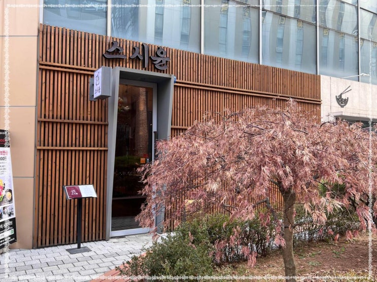  마곡점 데이트하기 좋은 오마카세 맛집 스시윤