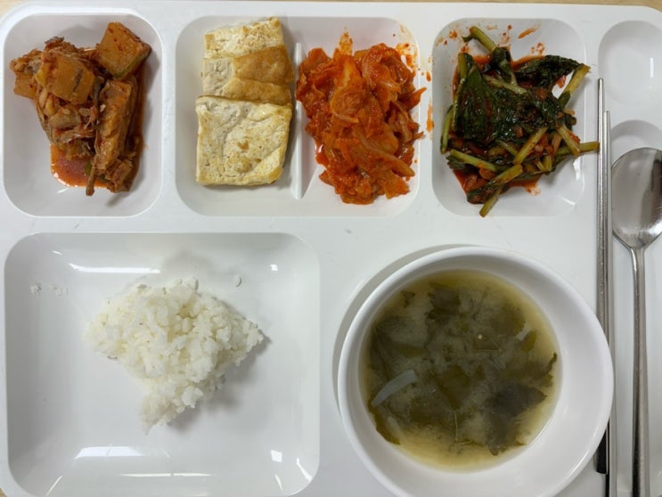직장인의 일주일 점심 식단 ( 구내식당)
