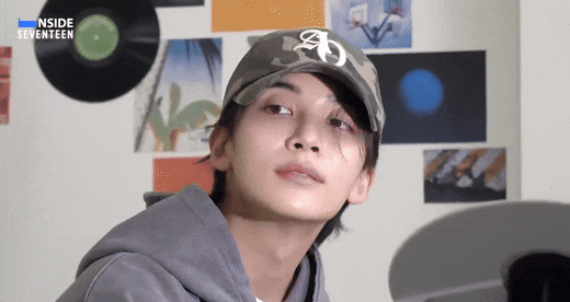  세븐틴 빙의글- 그놈은 위험한 짐승이다(19++)