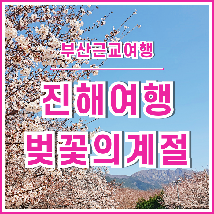 [부산근교] 벚꽃의 계절에 떠나는 진해여행