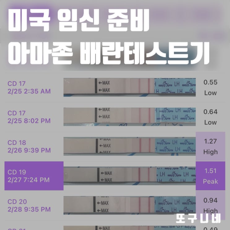  미국 임신 준비 : 배란테스트기 아마존 이지홈 배테기 & 어플 사용 방법