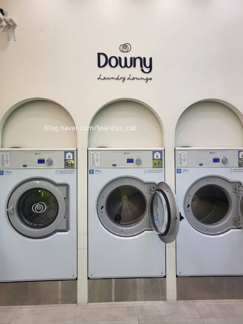 다우니런드리 워시앤페이 Downy 코인빨래방 무료포인트 꼭 이용하기 : 네이버 블로그