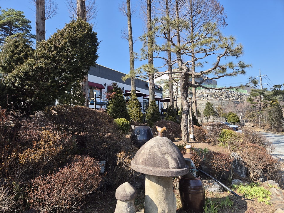 늘푸르고꽃피는 사진 5
