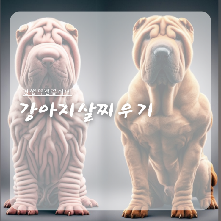  강아지 적정몸무게 계산법, 건강하게 강아지 살찌우기