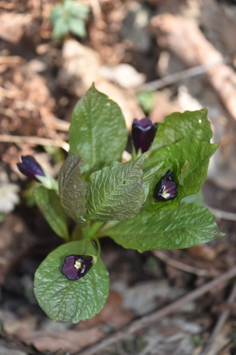 바이칼 검객의 [뉴스 창고(倉庫)](2024.3.15 금요일) : 네이버 블로그