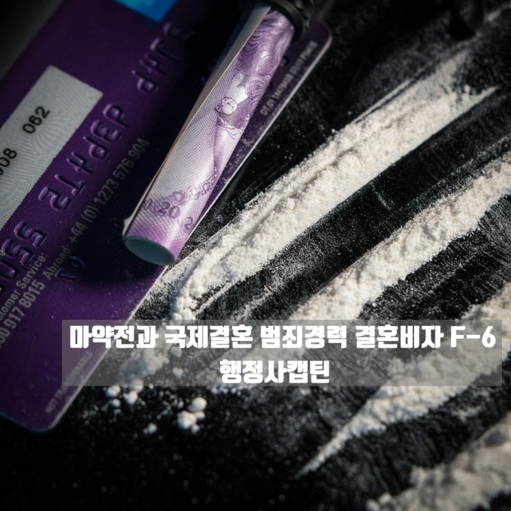  마약전과 국제결혼 범죄경력 결혼비자 F-6