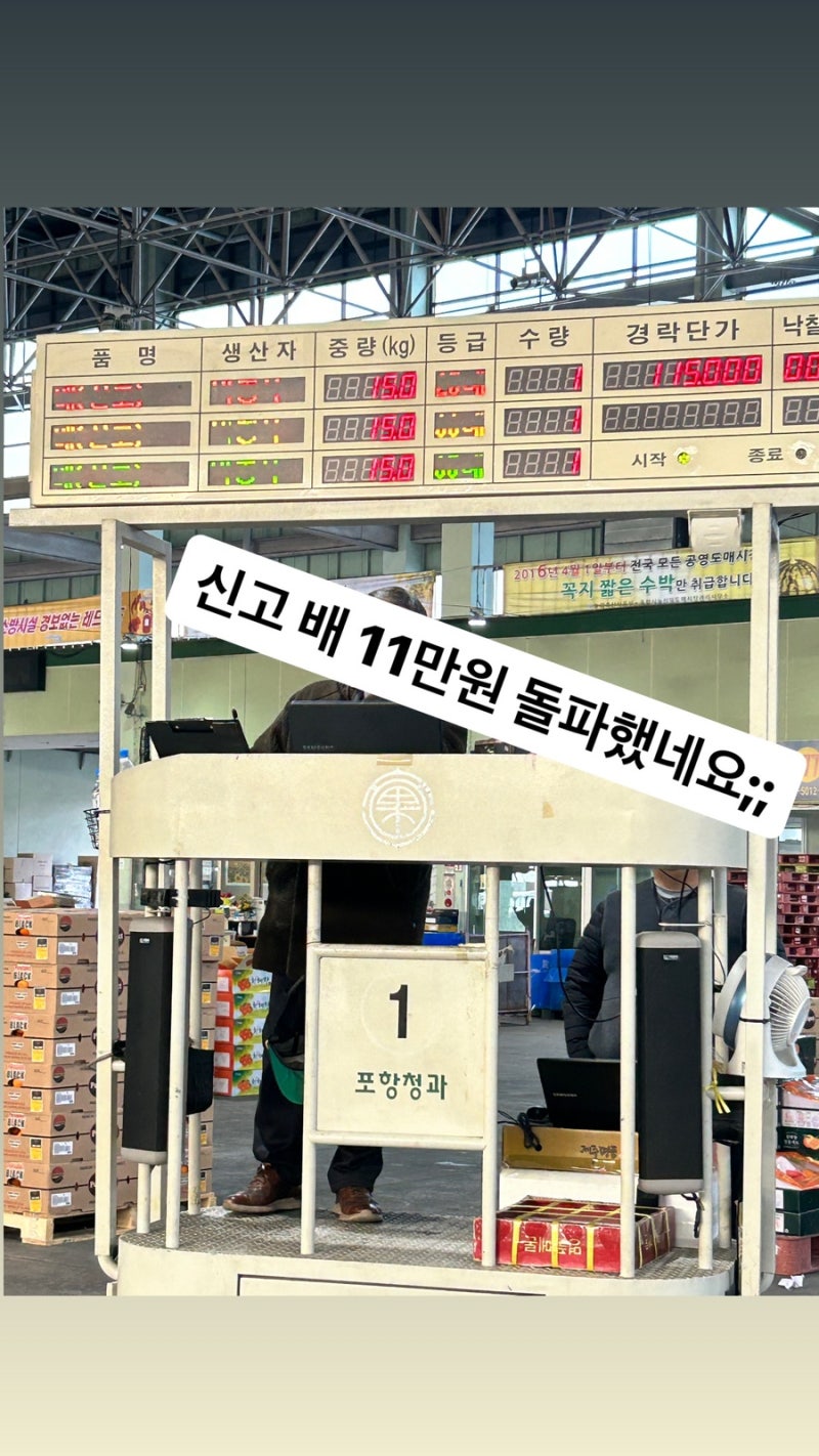 사과,배 값이 비싼 이유 알고 갈까요