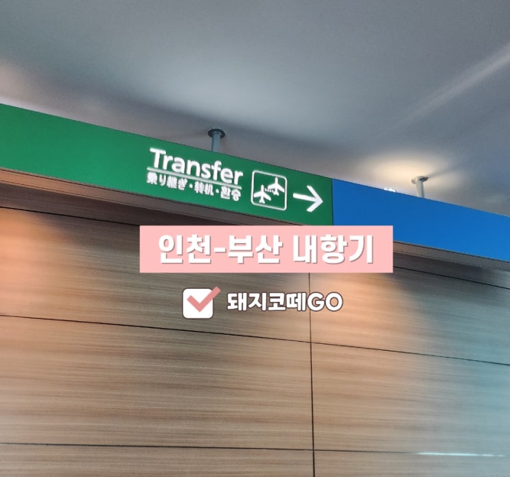  돼지코떼GO_인천-부산내항기후기_대한항공내항기필수