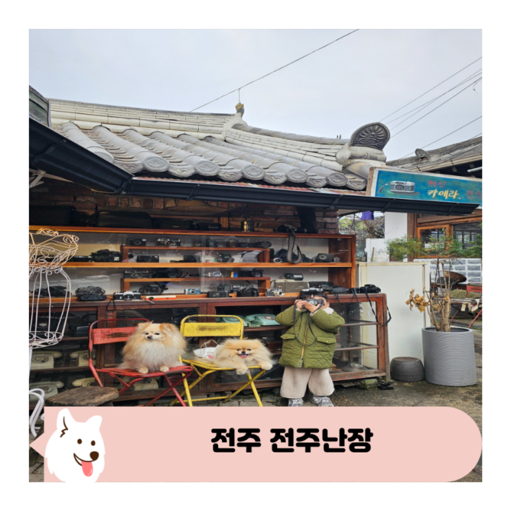  전주 한옥마을 전주난장 애견동반 여행하기