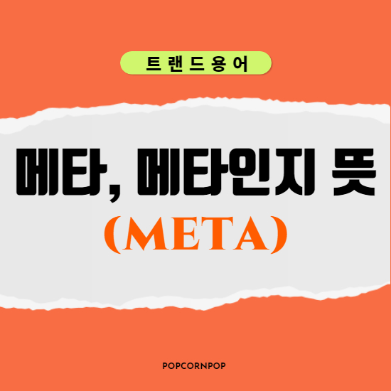  메타(Meta), 메타인지(Metacognition)교육,학습 뜻과 의미