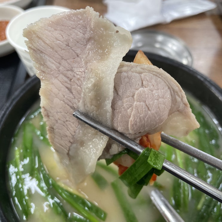  김해 장유 항정돼지국밥 맛집 '영진돼지국밥' #내돈내산