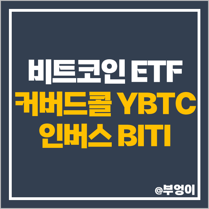 미국 비트코인 ETF 커버드콜 YBTC 인버스 BITI 배당락일 미국 비트코인 ETF 커버드콜 YBTC 인버스 BITI 배당락일