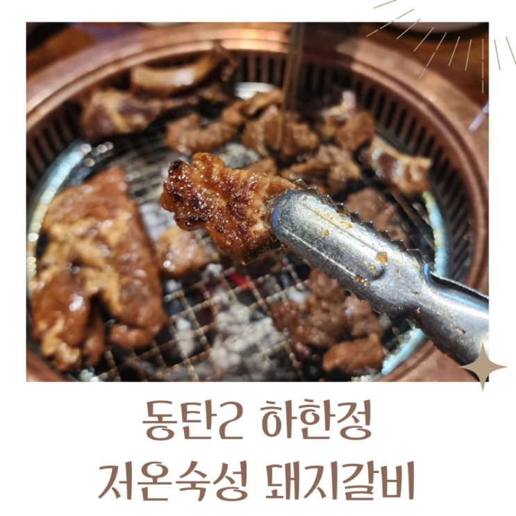  동탄호수공원 고기집 동탄2 돼지갈비 맛있는 하한정