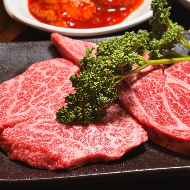  약수역 맛집 태백산맥 신당동 한우 맛있는 곳