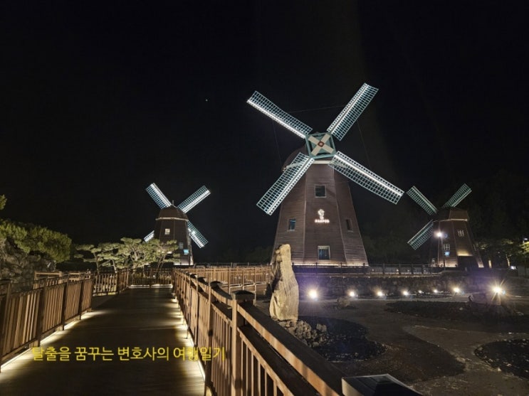  [놀거리] 롯데호텔 제주 해온 수영장, 롯데호텔 제주 사우나, 롯데호텔 제주부터 신라호텔 제주, 파르나스 정원까지 산책로