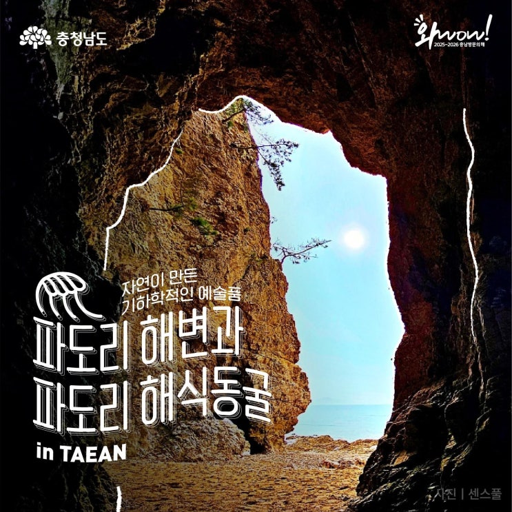 충남 가볼만한곳 자연이 만든 기하학적인 예술품 태안 파도리 해변과 파도리 해식동굴 | 충남도청페이스북