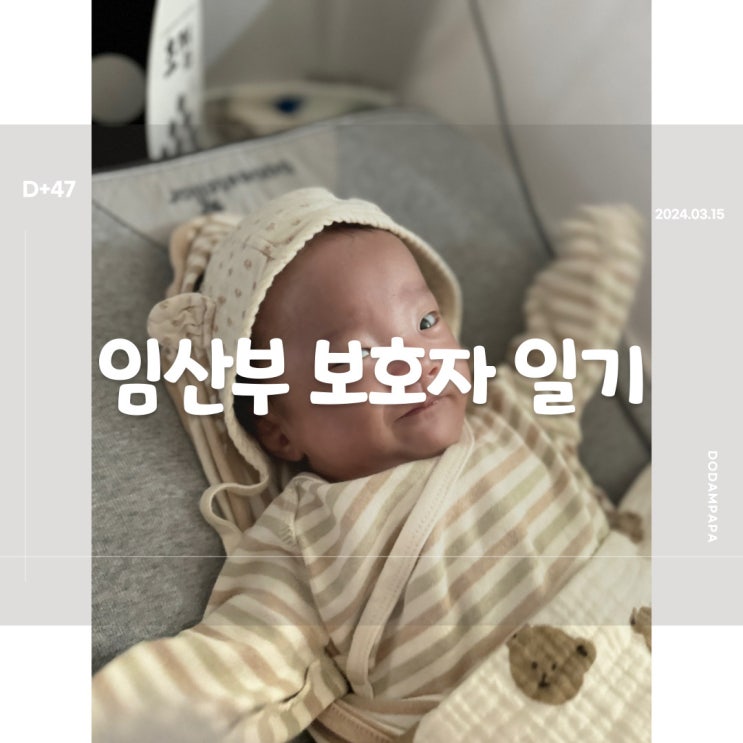 2024.03.15 임산부 보호자 일기 D+47일 2024.03.15 임산부 보호자 일기 D+47일
