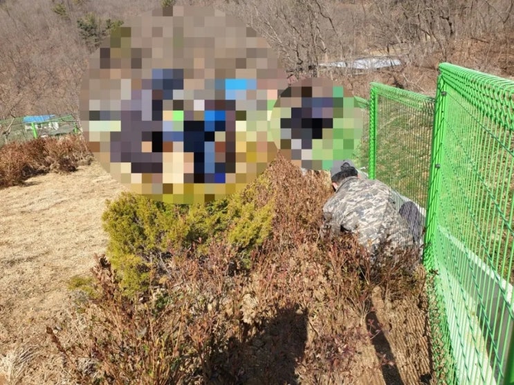  2024년 김천시 어모면 개나리 600주 철쭉 600주 묘목조성 및 잔디조성 공사 고인돌장의사 #김천장의사 #구미장의사 #선산장의사 #상주장의사 #성주장의사 #문경장의사