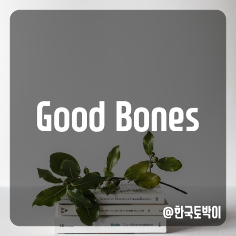 good bones 뜻 (굿 본즈)
