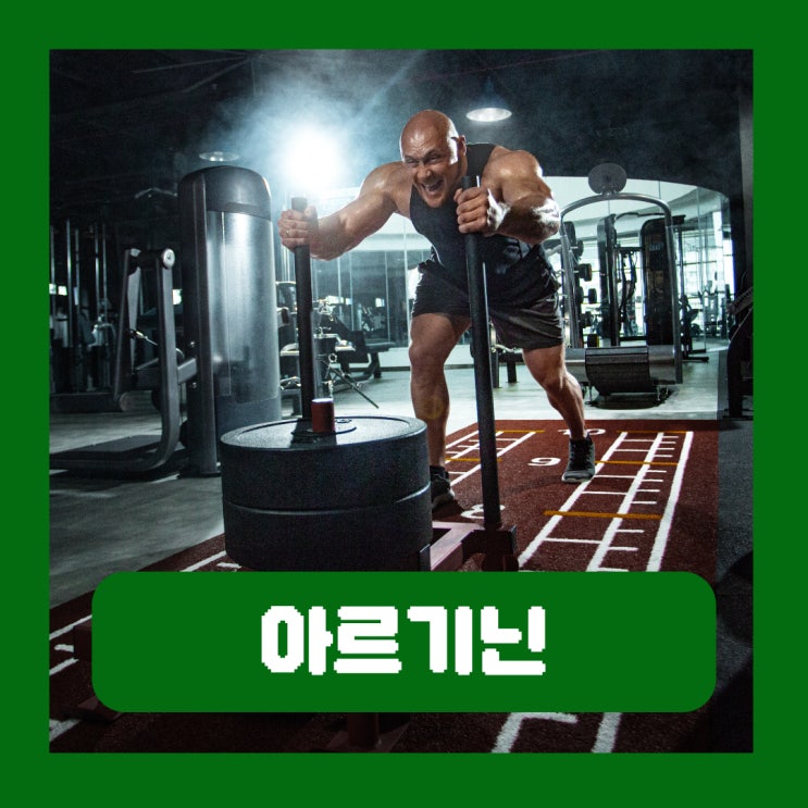  남자 아르기닌 효능 탈모 부작용 효율적으로 섭취하려면