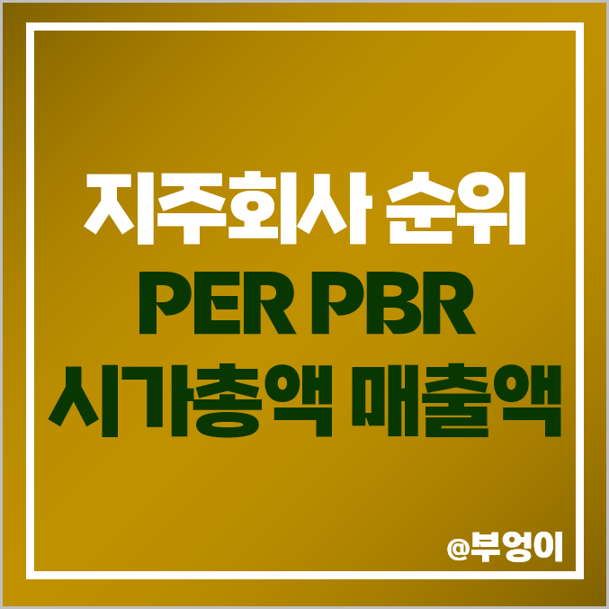 국내 지주회사 주식 시가총액 PER PBR 매출액 영업이익 순위 국내 지주회사 주식 시가총액 PER PBR 매출액 영업이익 순위