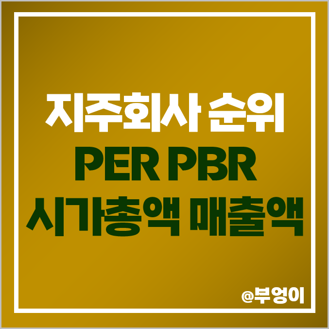 국내 지주회사 주식 시가총액 PER PBR 매출액 영업이익 순위