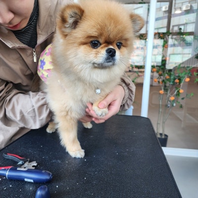 사진 4