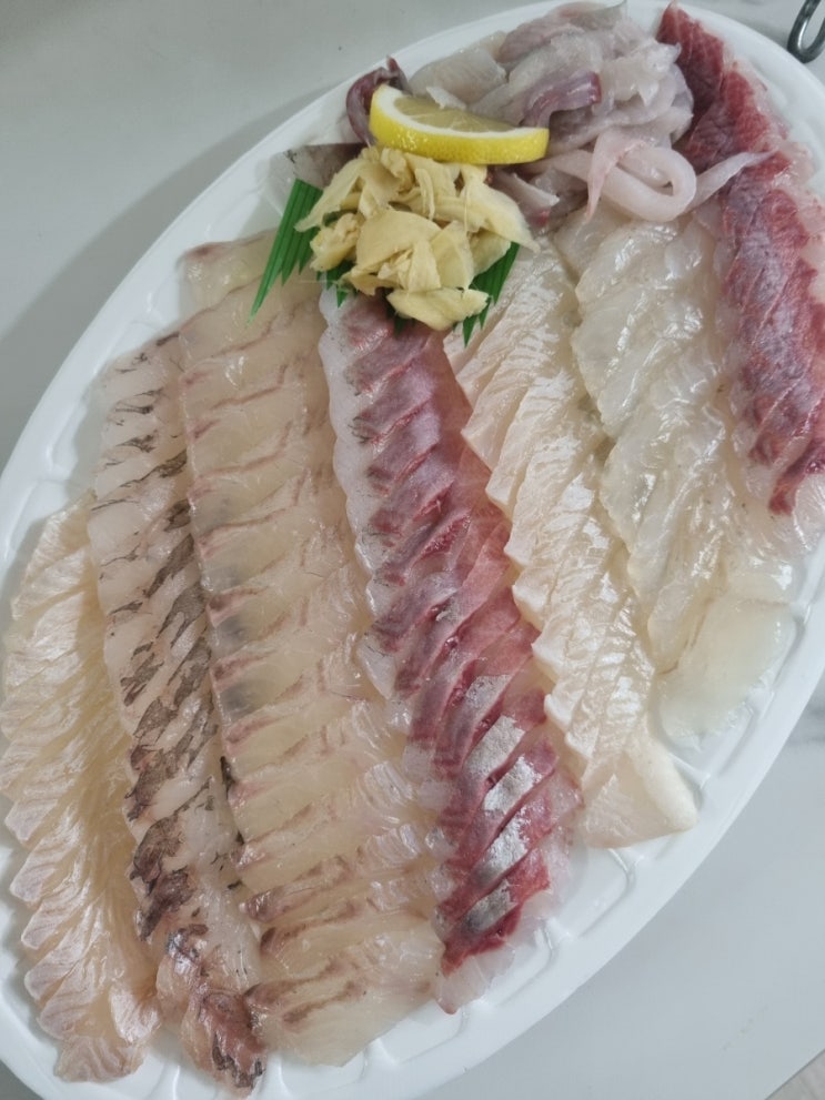  회뜨는김선장 달동점 모듬회가격