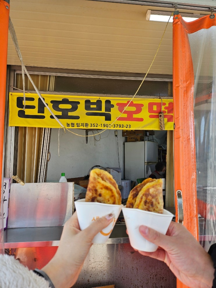  광주 호떡 파는 곳 // 송정 단호박호떡