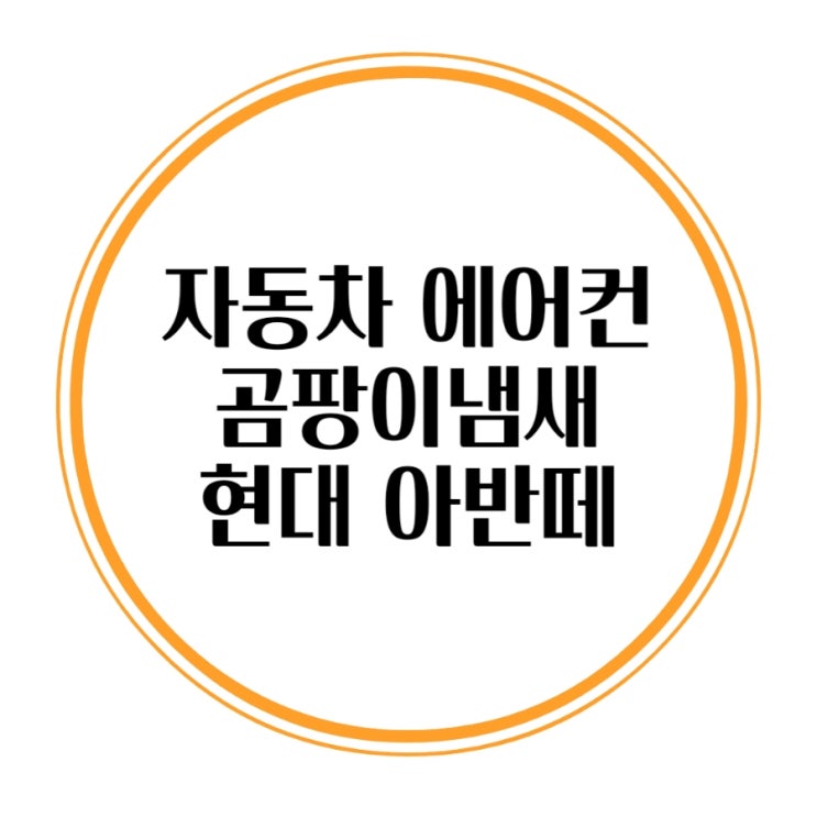  자동차 에어컨 곰팡이냄새 경산에바크리닝 현대 아반떼 에바클리닝