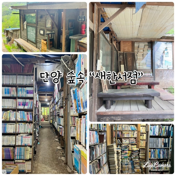  43년된 헌책방으로 영화촬영 장소였던 단양 숲속 “새한서점”
