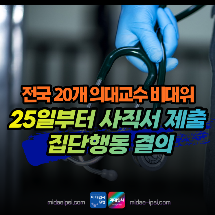 <b>의대교수</b>사직 전국 20개 <b>의대교수</b>비대위 <b>집단</b>사직 25일부터... 