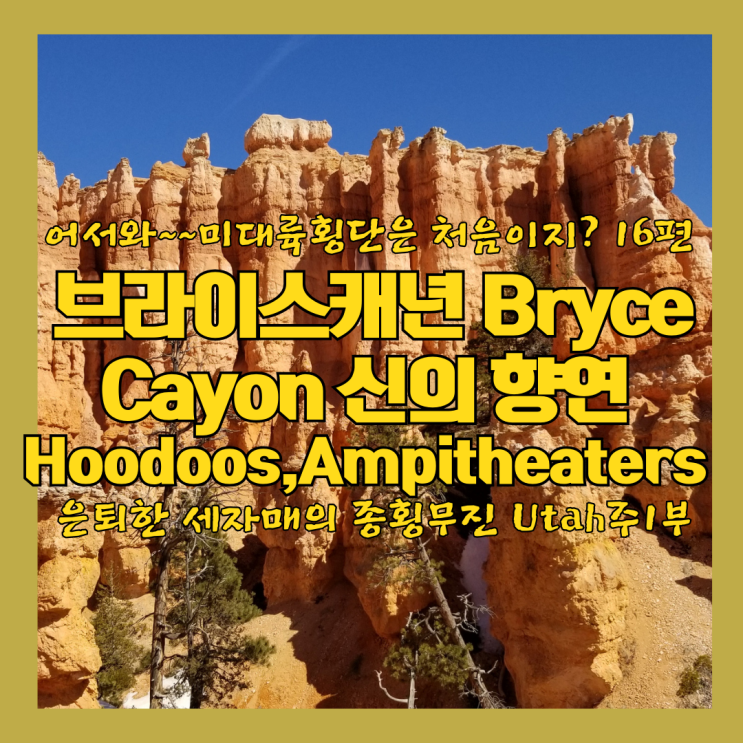  브라이스 캐년 Bryce canyon 유타주 미서부 여행 꽃보다 세자매 미대륙 횡단 16편 진정한 원더랜드를 걷다
