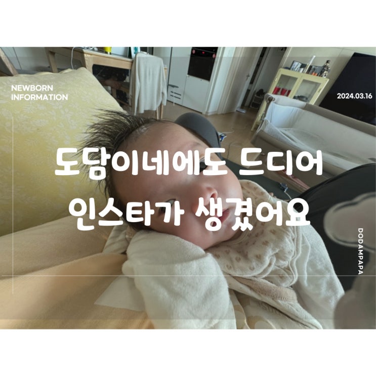 도담이네에도 드디어 인스타가 생겼어요 도담이네에도 드디어 인스타가 생겼어요