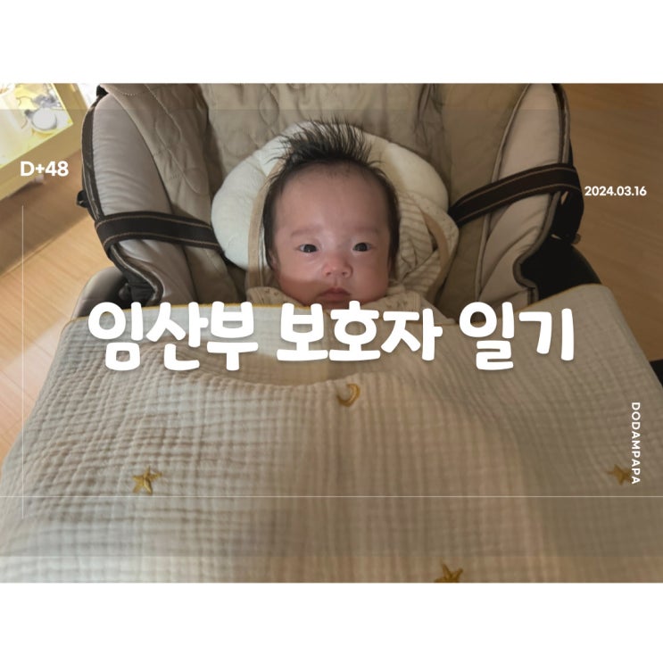 2024.03.16 임산부 보호자 일기 D+48일 2024.03.16 임산부 보호자 일기 D+48일
