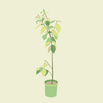  나무 심기(Planting trees)