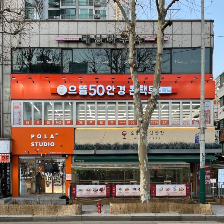 예쁜 안경테가 많은 으뜸50안경 목동 오목교점 예쁜 안경테가 많은 으뜸50안경 목동 오목교점