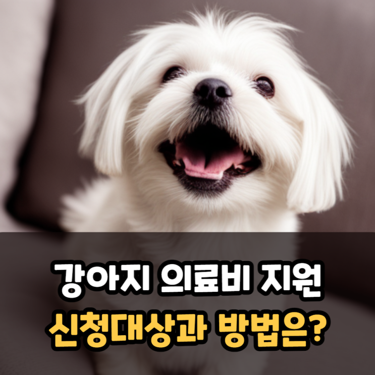 강아지 의료비 지원사업 추천(서울, 부산, 경기, 인천, 대구 등)