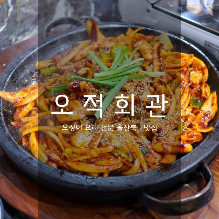  오징어 요리 전문점 오적회관 - 울산 북구 매곡 맛집